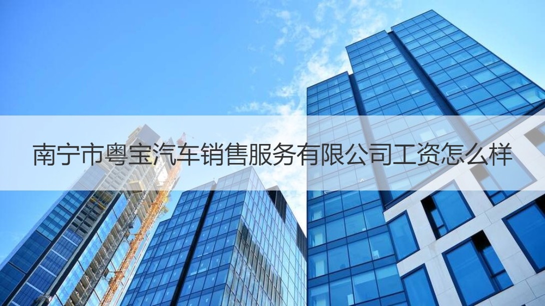 南宁市粤宝汽车销售服务工作薪资与二手日用百货销售对比分析