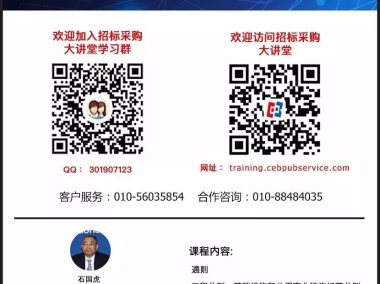 招标项目成功保障，关键环节技术咨询费解析