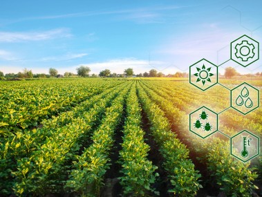 科技赋能农业，农户技术咨询助力现代化农业腾飞