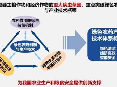 技术咨询视角下横向课题的应用与价值分析