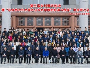 江西农业技术咨询助力乡村振兴战略关键作用