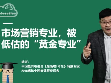 技术咨询行业，未来发展的璀璨黄金赛道