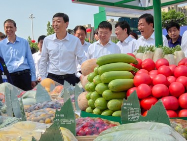 桔梗种植技术助农增收，绿色致富新路径
