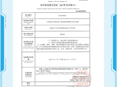 上海技术咨询市场行情解析与选策指南