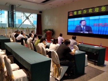 江苏技术咨询市场新势力，多元化服务解析与崛起之路