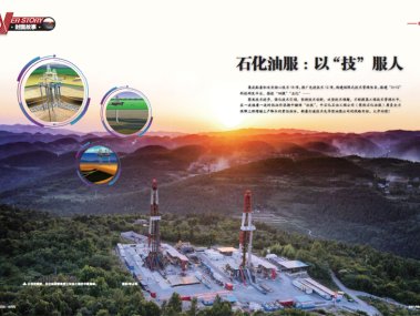 化工石油技术咨询服务,企业稳健发展的坚实后盾