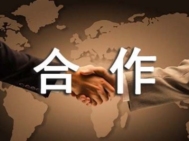 网站技术咨询协议,构建合作共赢的权益保障基石