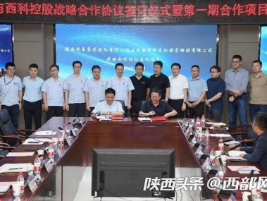 陕西技术咨询公司，科技创新引擎，助力企业飞跃发展