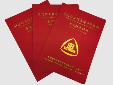 项目实施关键步骤与要点咨询记录范文解析