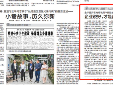 金华技术咨询，揭秘优质服务背后的价值与价格