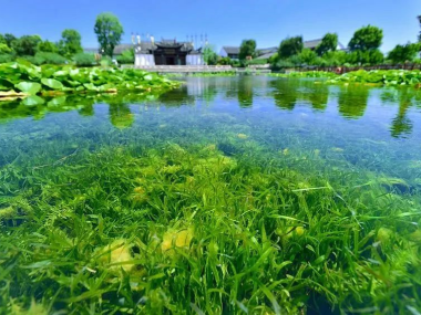 绿色未来引领者，水处理技术咨询助力环保产业升级