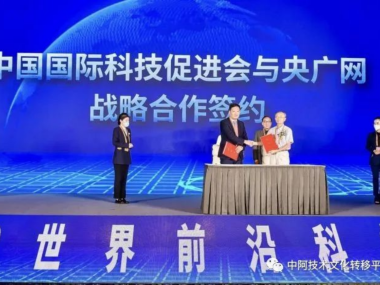 跨国技术咨询服务合同，搭建国际科技合作的法律基石