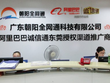 庐阳区推动网络技术咨询收费透明化规范化，助力企业高效发展