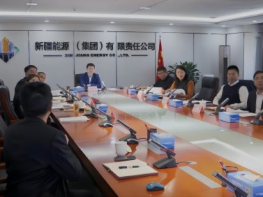 力聚锅炉技术革新，推动企业绿色发展新篇章