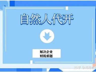 个人开展技术咨询业务税务合规开票全攻略
