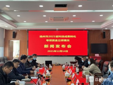 扬州技术咨询性价比高，助力企业创新升级