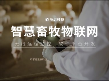 运城技术咨询推动肉兔养殖产业蓬勃发展，价格稳步攀升
