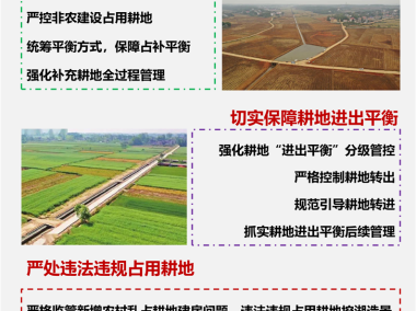 我国国土资源技术咨询公司崛起与发展探析
