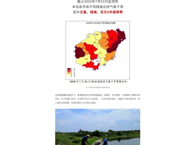养殖技术咨询税率调整，助力行业升级，优化税收环境