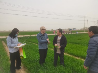 鲢鳙养殖绿色升级，专家热线助力产业转型