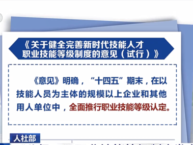 标准技术咨询行业动态解析与未来趋势展望