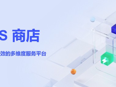 助力企业数字化转型的网络服务技术咨询公司，引领行业新风向