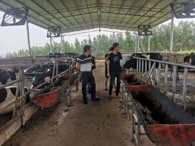 助力农业现代化，大东养殖技术咨询推动行业转型升级