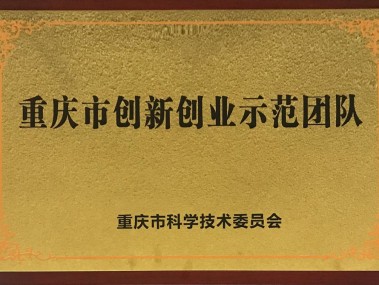 智汇创新，重庆技术咨询公司——企业发展的智慧盟友