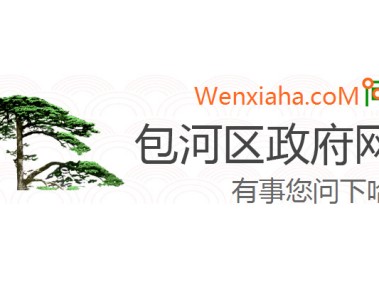 包河区企业数字化转型，网络技术咨询优势全解析