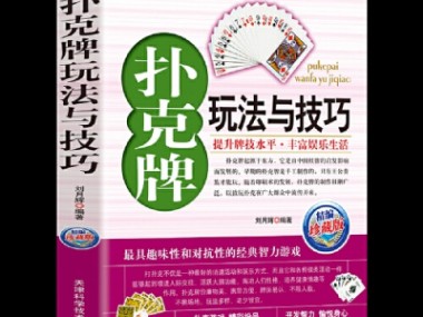 技术揭秘，技术咨询工作室的专业技巧内幕大公开
