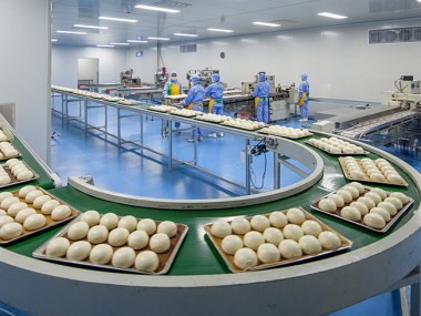 食品加工技术咨询，推动产业升级，筑牢食品安全防线