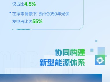 助力企业绿色低碳转型，碳排放技术咨询引领美好未来