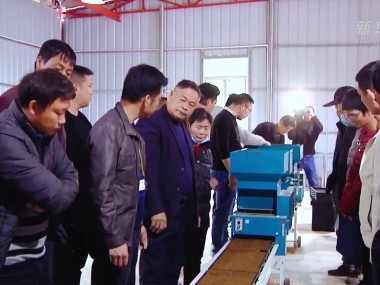 福建农业技术咨询，农民增收的智慧金钥匙