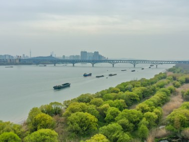 南京环境技术咨询，引领绿色发展的智慧引擎