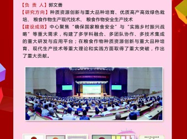 扬州技术咨询产业，创新引擎驱动下的产业新活力