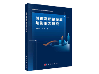 北京大简咨询，推动企业数字化革新，成就飞跃之路