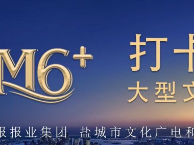 盐城企业数字化营销转型，网络营销技术咨询引领新篇章