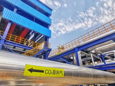 石化管道技术咨询引领行业升级，探索未来发展趋势