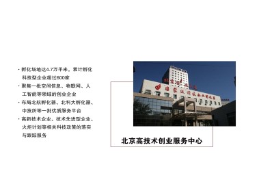 北京技术咨询有限公司,创新先锋,行业领航者