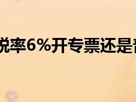 技术咨询服务的税率揭秘,深度解析标准与影响因素