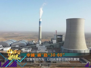 云浮环保技术咨询，推动企业绿色未来