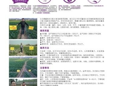 腾沃农业技术，赋能乡村振兴，助力农业现代化发展