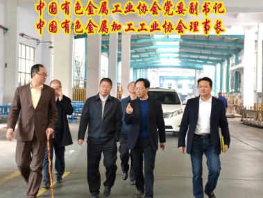 江苏断桥铝技术领航，绿色建筑创新先锋