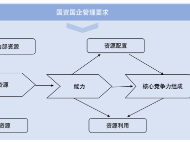 行业翘楚与明日之星，技术咨询公司梯队深度解析