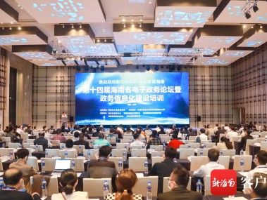 海南技术咨询费政策深度解读与改革策略