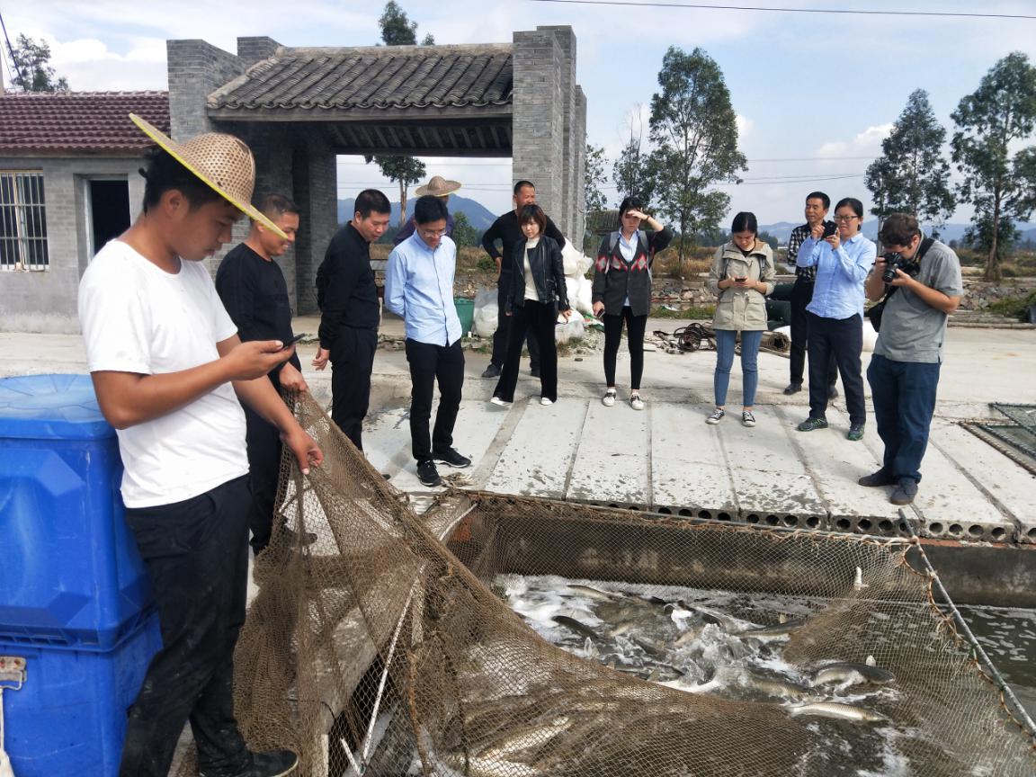 水产养殖产业升级与绿色发展，技术咨询服务引领创新,随着我国水产养殖业的迅猛发展，养殖技术的持续创新，水产养殖技术咨询服务在行业中的地位日益凸显，它犹如一座桥梁，连接着养殖户与前沿的养殖技术，这不仅助力养殖户解决实际问题，提升养殖收益，更是推动产业升级和绿色发展的关键力量，本文将深入探讨水产养殖技术咨询服务的重要性、服务内容及其未来的发展趋势。,水产养殖技术咨询服务,技术咨询,技术咨询服务,第1张