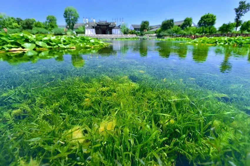 绿色未来引领者，水处理技术咨询助力环保产业升级,水处理技术咨询,技术咨询,技术咨询是指,第1张