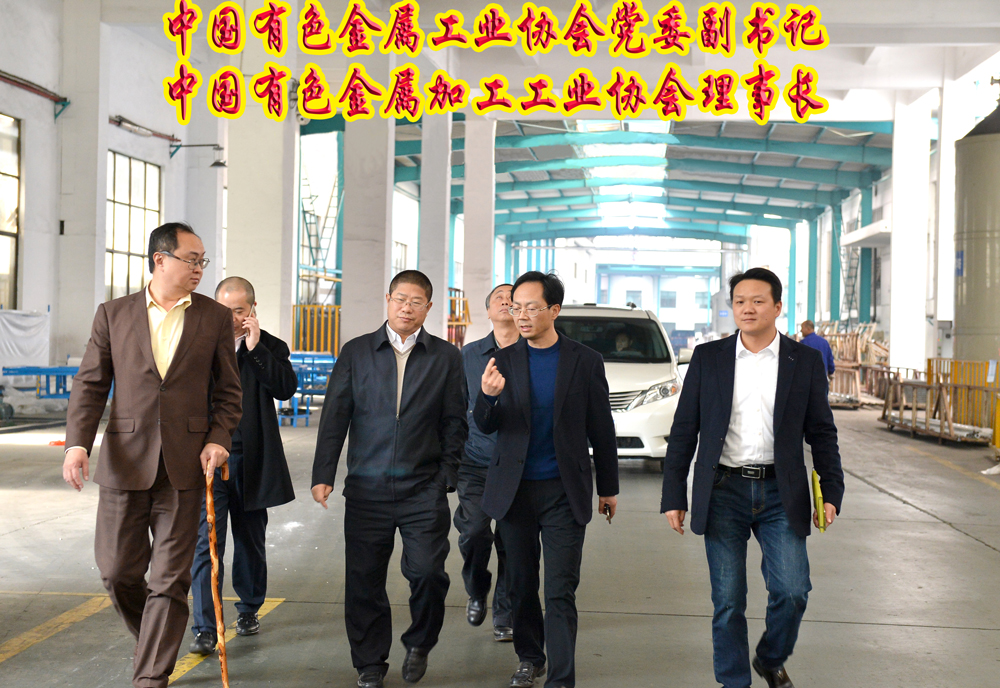 江苏断桥铝技术领航，绿色建筑创新先锋,随着我国经济的迅猛增长和人民生活水平的持续提升，建筑行业作为国民经济的重要支柱，正迎来前所未有的发展机遇，在此背景下，断桥铝门窗凭借其卓越的性能和环保特性，逐渐成为建筑行业的热门选择，江苏断桥铝技术咨询公司，作为行业内的领军企业，凭借其专业的技术实力和丰富的行业经验，为我国绿色建筑的发展贡献了不可或缺的力量。,江苏断桥铝技术咨询公司,技术咨询,技术咨询公司,第1张
