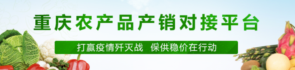 重庆农业技术咨询，乡村振兴的智力引擎,重庆农业技术咨询作用,技术咨询,农业技术咨询,第1张