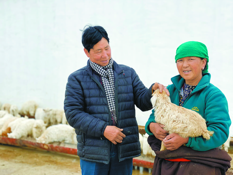 青海农业发展热线，助力增收，护航农技咨询,近年来，我国农业发展取得了举世瞩目的辉煌成就，农业现代化的步伐不断加快，在这一进程中，农民朋友们面临着种植技术、病虫害防治、农产品销售等众多挑战，为了有效解决这些问题，青海省农业技术推广总站设立了专门的农业技术咨询热线，为广大农民朋友提供全面的技术支持，本文将深入剖析青海农业技术咨询热线，探讨其如何助力农业发展，保障农民增收。,青海农业技术咨询热线,技术咨询,技术咨询服务,农业技术咨询,第1张